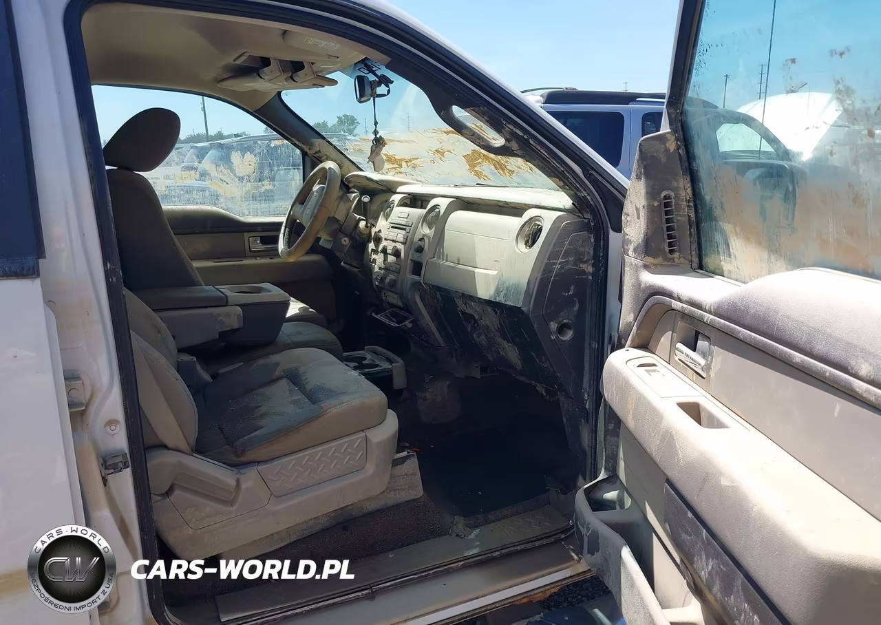 2009 Ford F-150 Xlt VIN:1FTPW14V69FB43439 - 5