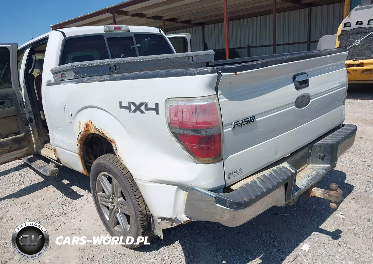 2009 Ford F-150 Xlt VIN:1FTPW14V69FB43439 - 6