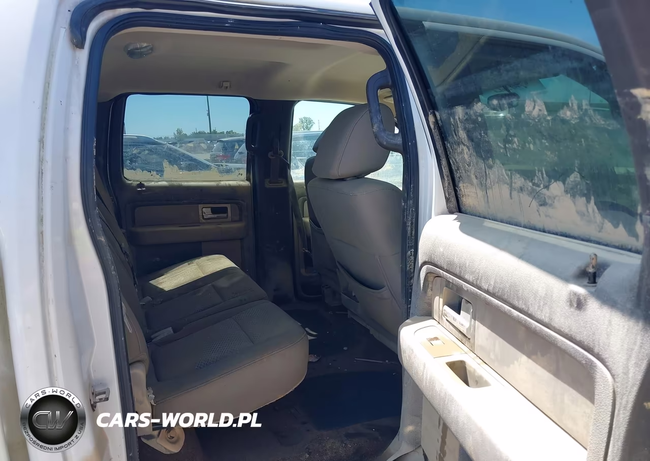 2009 Ford F-150 Xlt VIN:1FTPW14V69FB43439 - 8