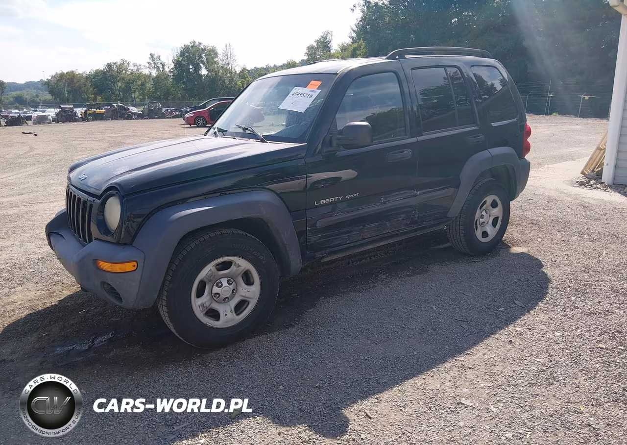2003 Jeep Liberty Sport VIN:1J4GL48K23W669675 - 2