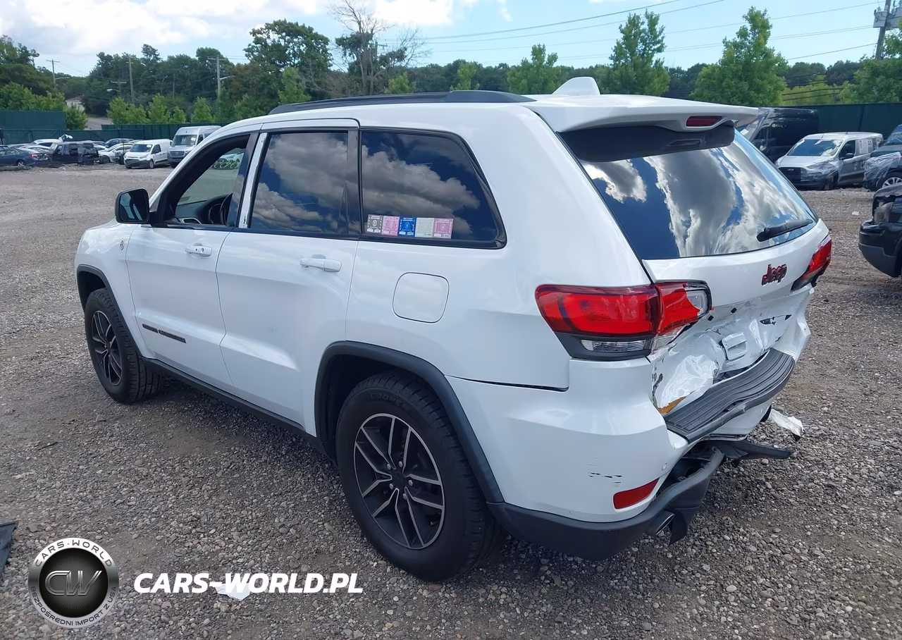 2019 Jeep Grand Cherokee Trailhawk 4X4 VIN:1C4RJFLG5KC620005 - 3