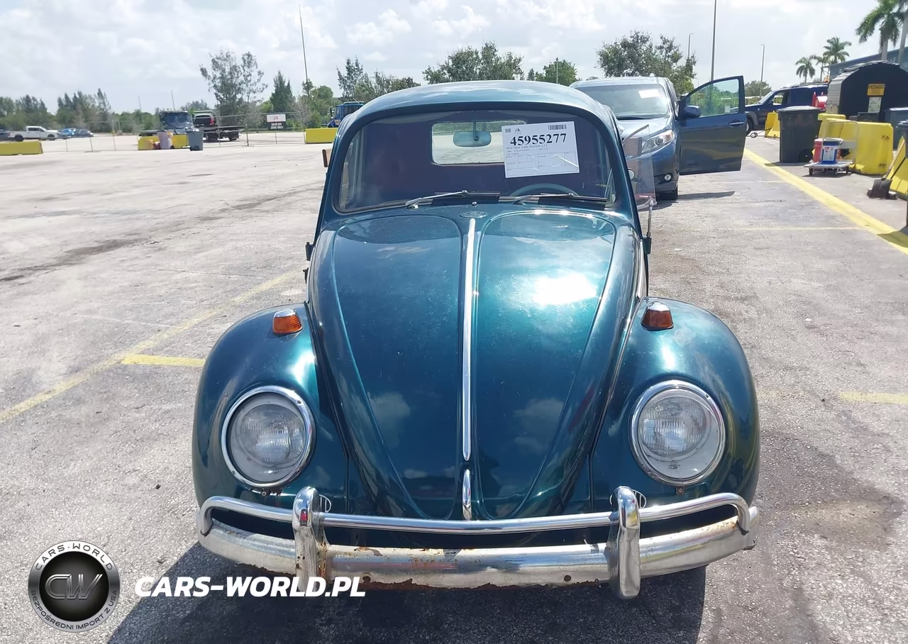 1966 Volkswagen Beetle VIN:116746360 - 12