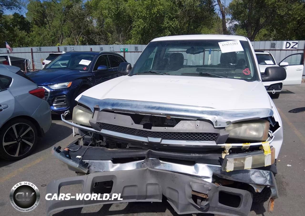 2004 Chevrolet Silverado 1500 Work Truck VIN:1GCEC14X14Z342391 - 12