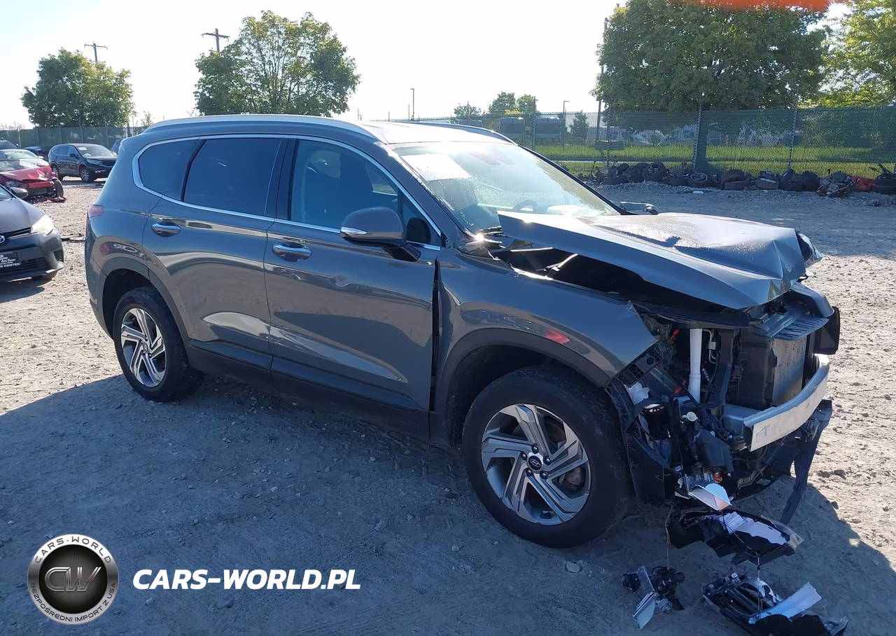 2023 Hyundai Santa Fe Sel VIN:5NMS2DAJ2PH498049 - 1