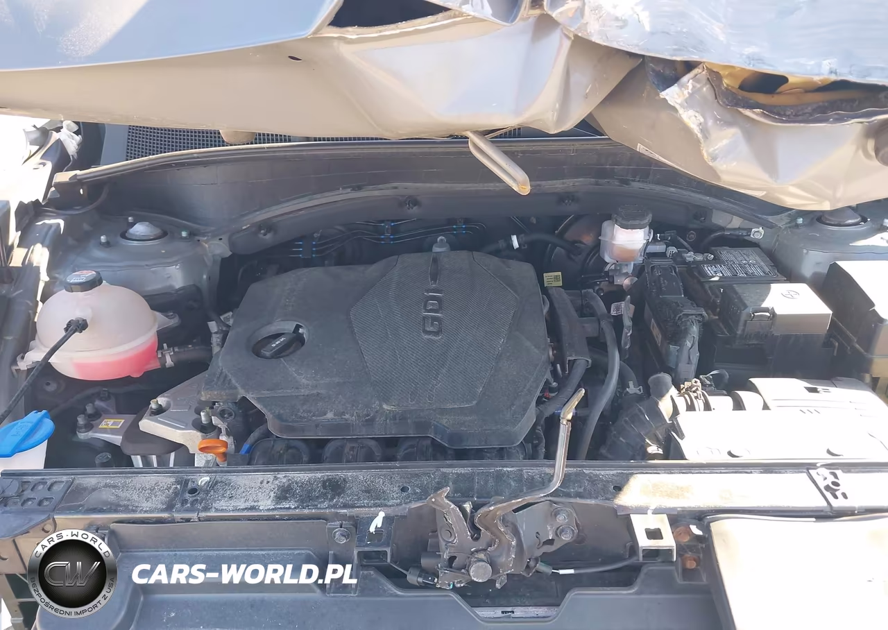 2023 Hyundai Santa Fe Sel VIN:5NMS2DAJ2PH498049 - 10