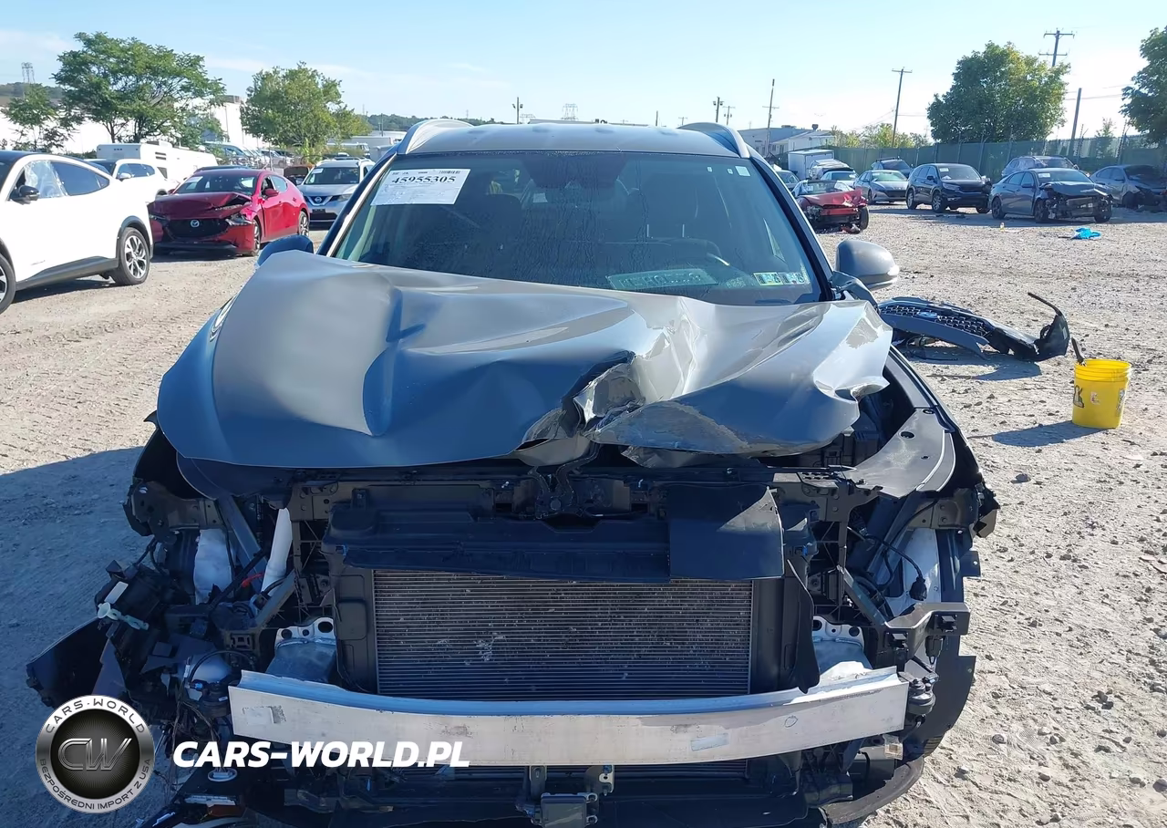 2023 Hyundai Santa Fe Sel VIN:5NMS2DAJ2PH498049 - 12