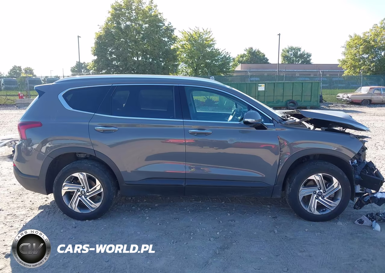 2023 Hyundai Santa Fe Sel VIN:5NMS2DAJ2PH498049 - 13