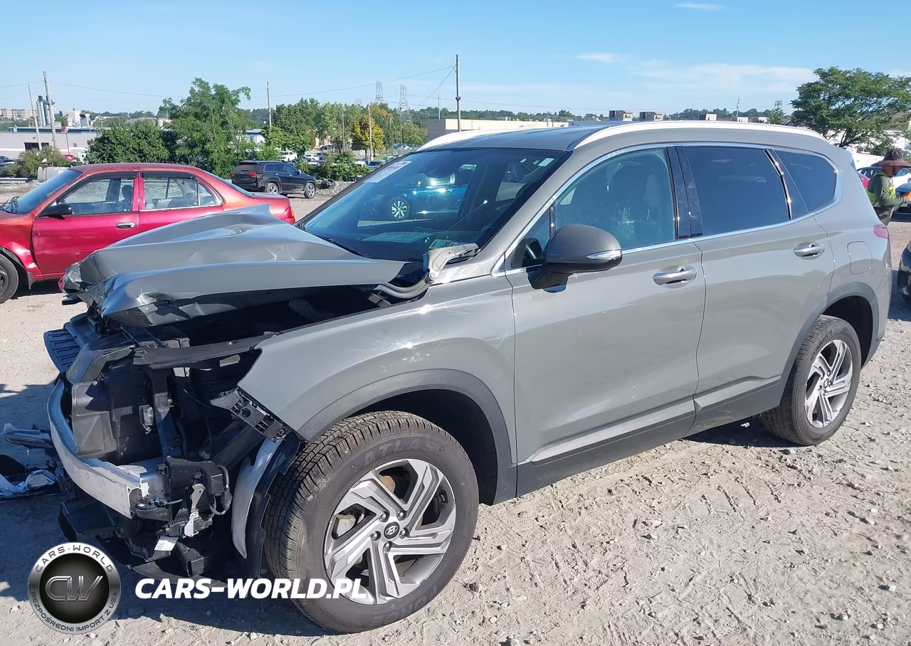 2023 Hyundai Santa Fe Sel VIN:5NMS2DAJ2PH498049 - 2