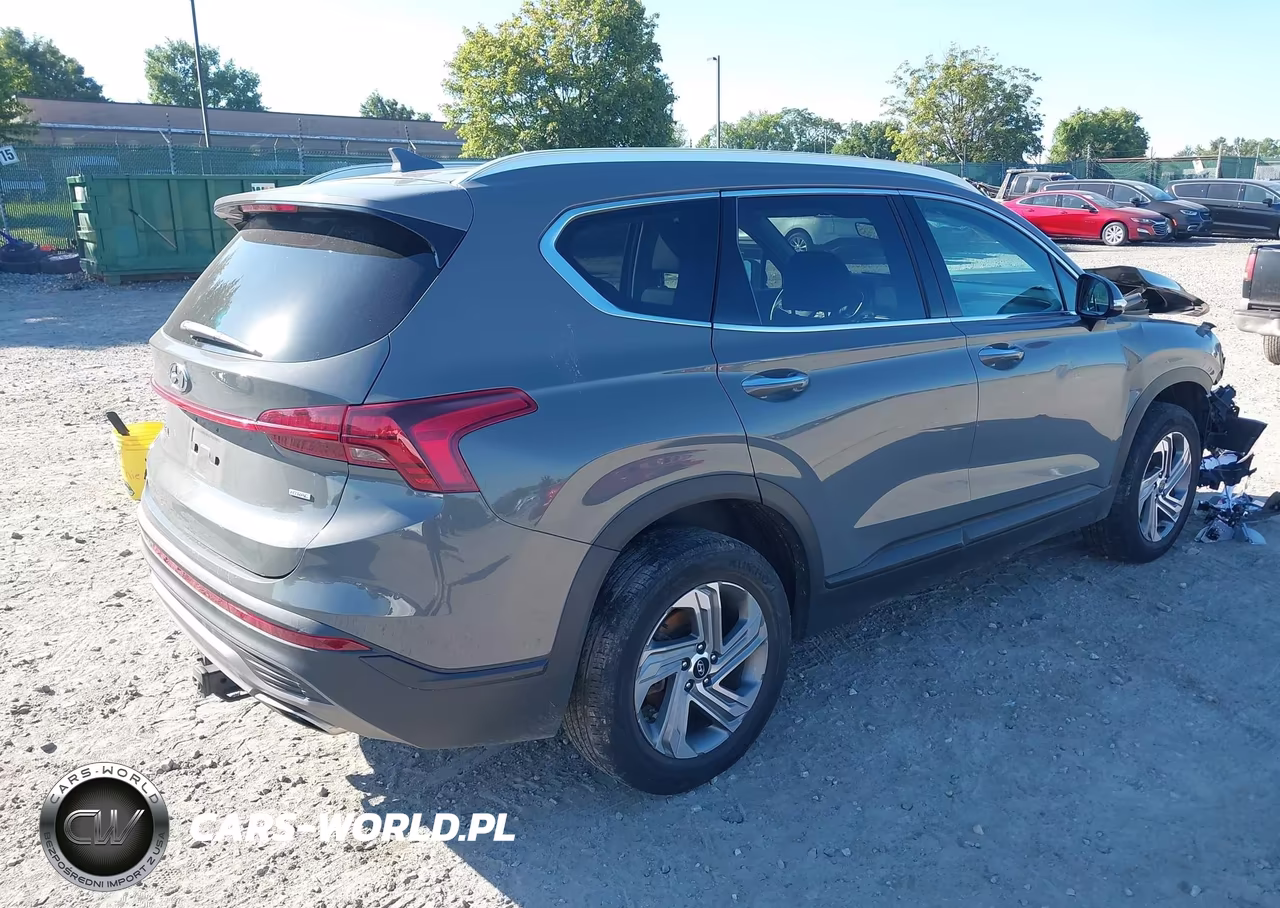 2023 Hyundai Santa Fe Sel VIN:5NMS2DAJ2PH498049 - 4
