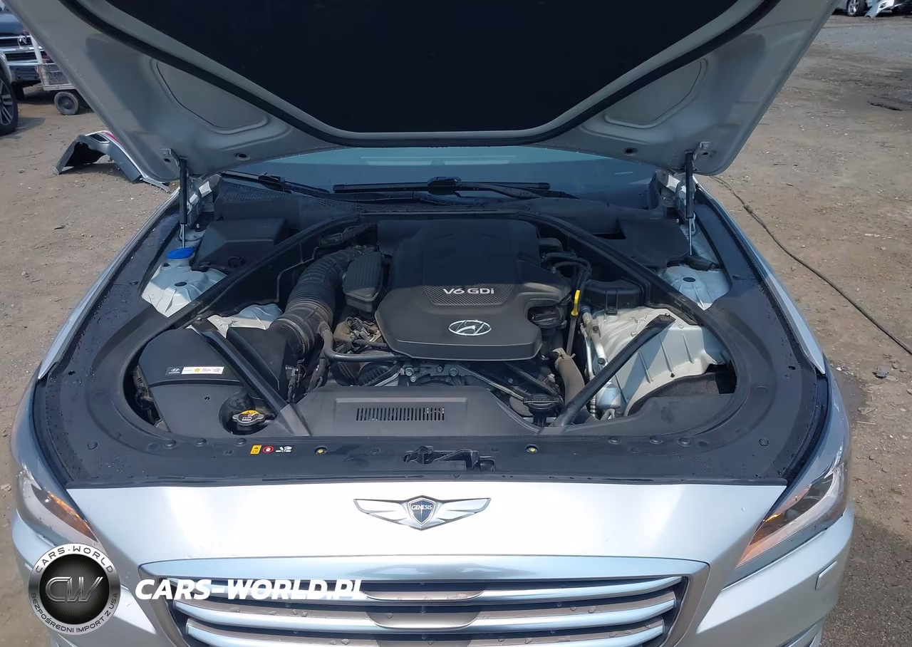 2015 Hyundai Genesis 3.8 VIN:KMHGN4JE3FU048848 - 10