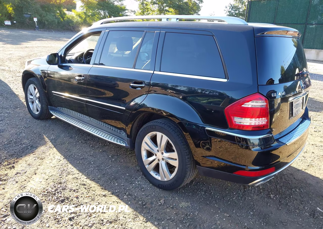 2010 Mercedes-Benz Gl 450 4Matic VIN:4JGBF7BE7AA557584 - 3