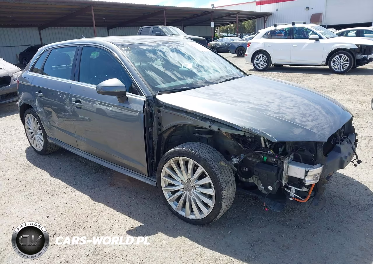 2016 Audi A3 E-Tron 1.4T Premium VIN:WAUTPBFF5GA119888 - 1