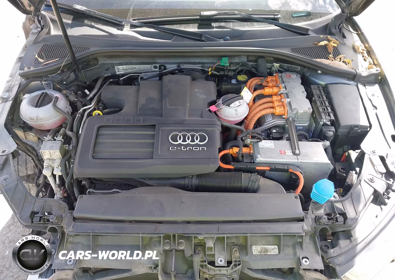 2016 Audi A3 E-Tron 1.4T Premium VIN:WAUTPBFF5GA119888 - 10