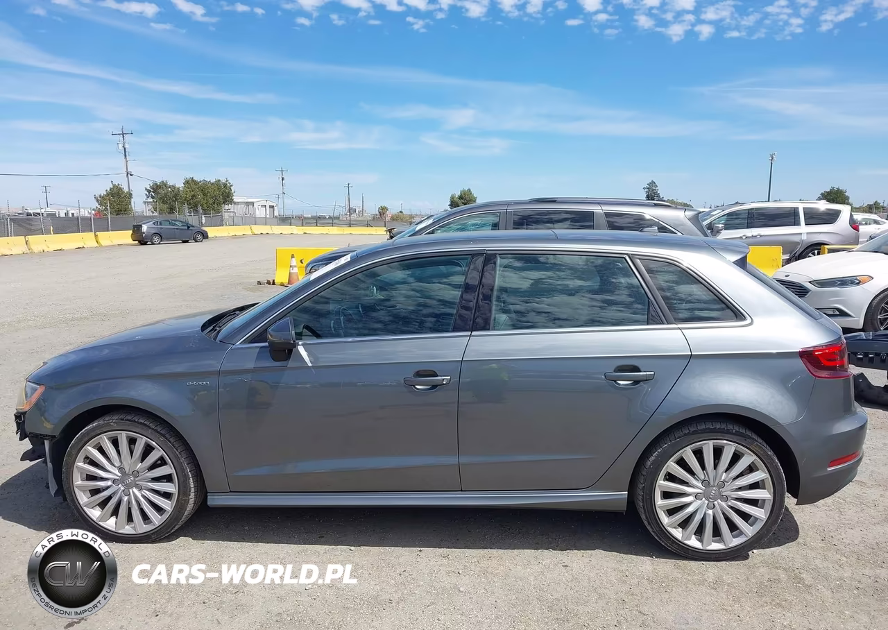 2016 Audi A3 E-Tron 1.4T Premium VIN:WAUTPBFF5GA119888 - 15