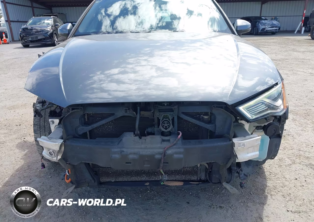 2016 Audi A3 E-Tron 1.4T Premium VIN:WAUTPBFF5GA119888 - 6