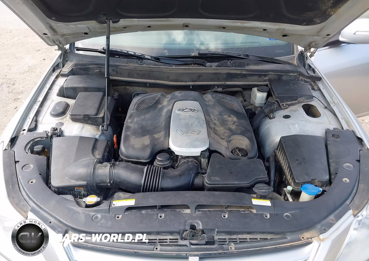 2009 Hyundai Genesis 4.6 VIN:KMHGC46F49U040379 - 10