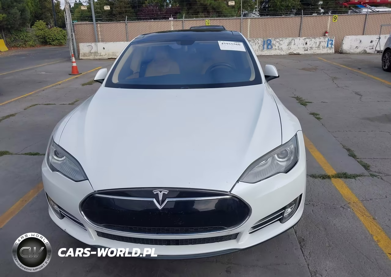 2013 Tesla Model S VIN:5YJSA1DG2DFP03576 - 12
