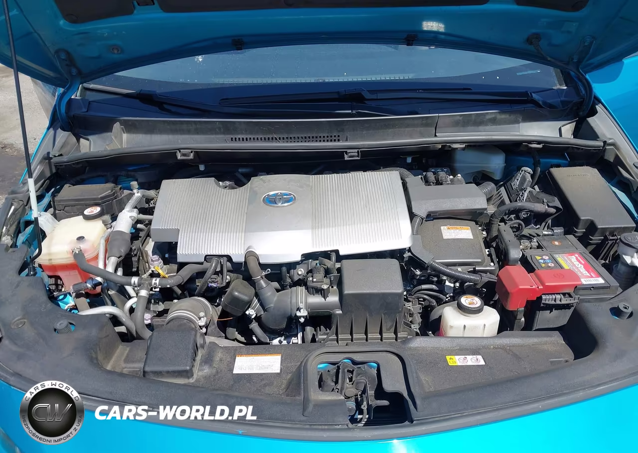 2019 Toyota Prius Prime Plus VIN:JTDKARFP8K3118359 - 10