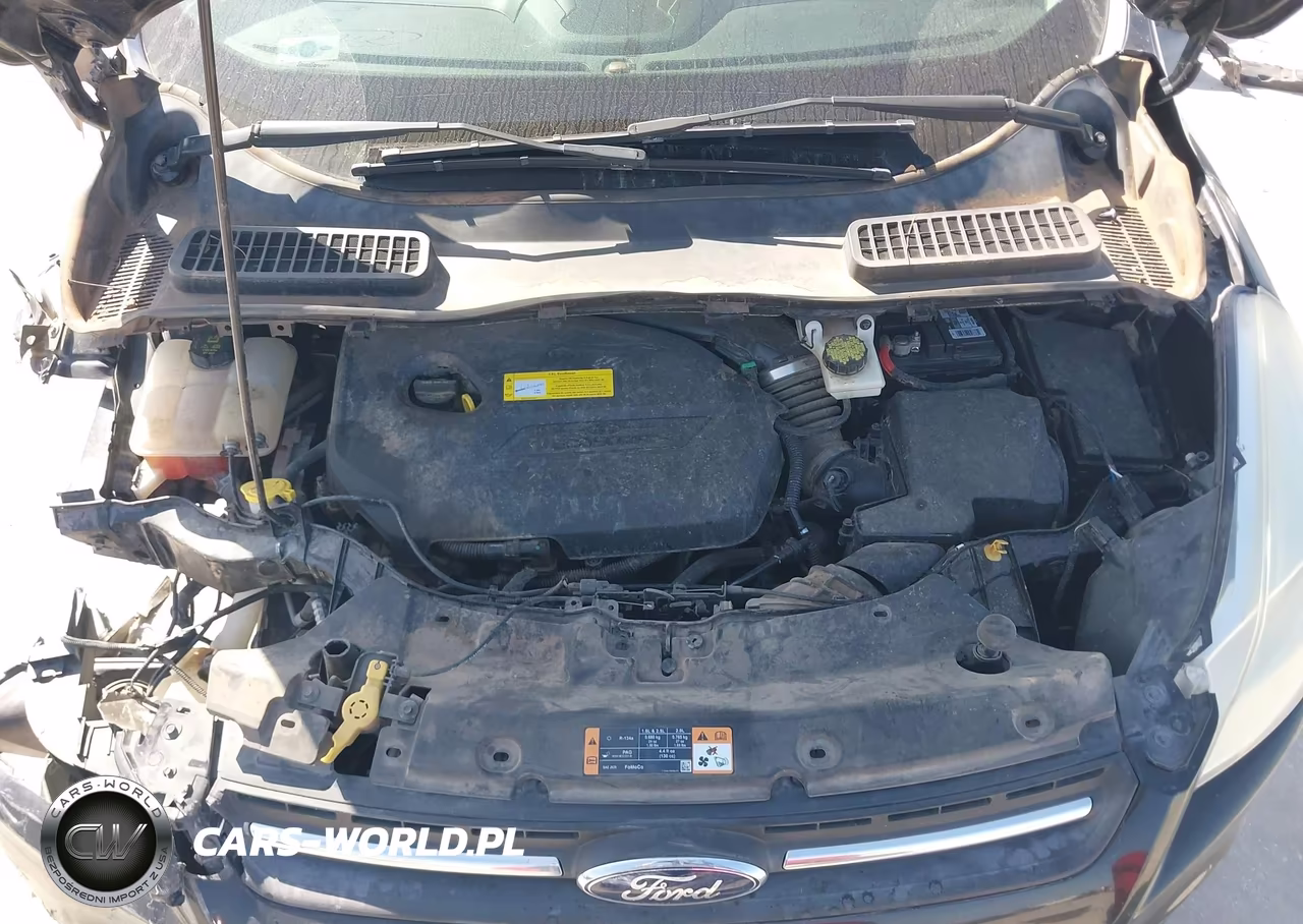 2016 Ford Escape Se VIN:1FMCU0GX4GUB47232 - 10