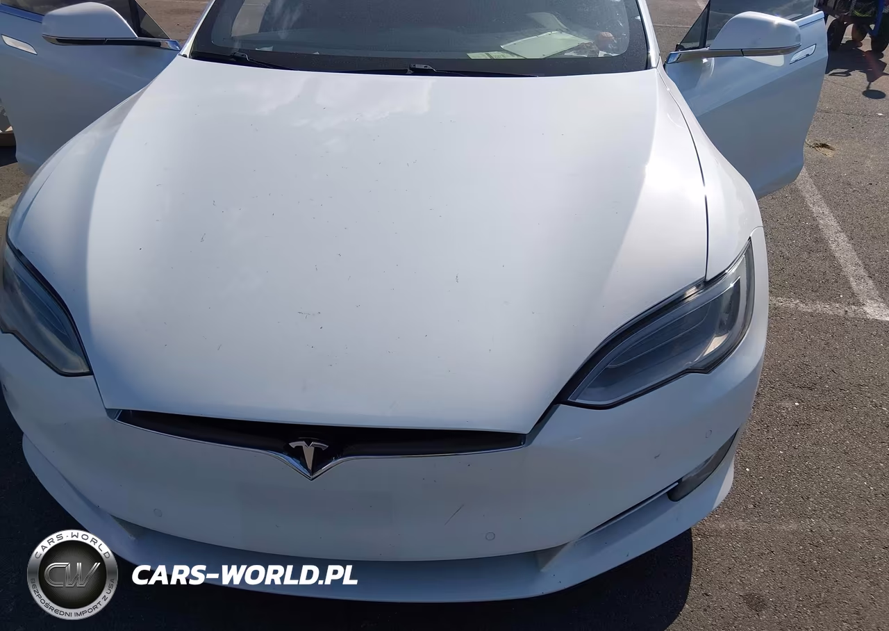 2018 Tesla Model S 100D-75D-P100D VIN:5YJSA1E27JF281139 - 10