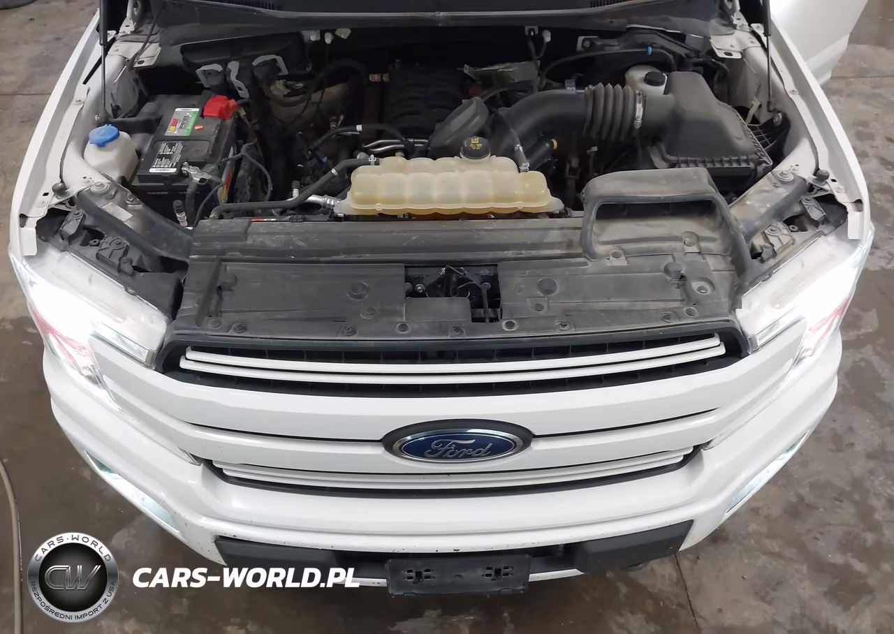 2019 Ford F150 Supercrew VIN:1FTEW1E55KFC91965 - 10