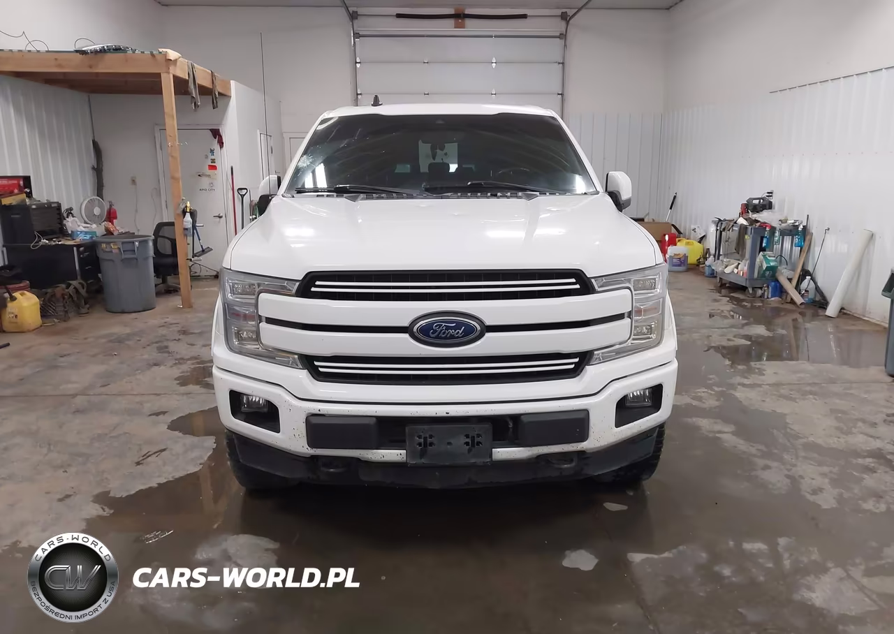 2019 Ford F150 Supercrew VIN:1FTEW1E55KFC91965 - 12