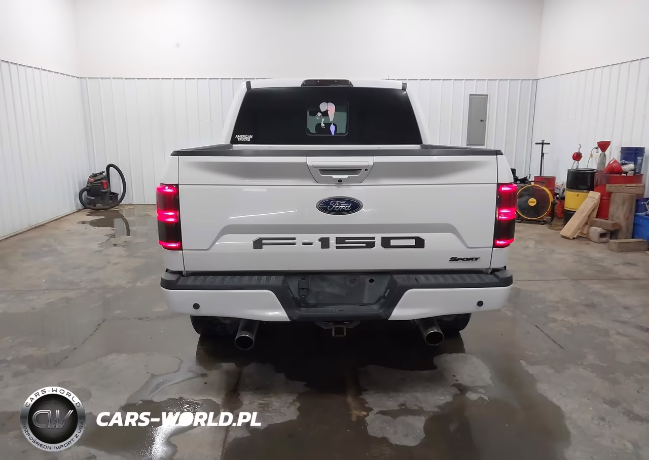 2019 Ford F150 Supercrew VIN:1FTEW1E55KFC91965 - 16