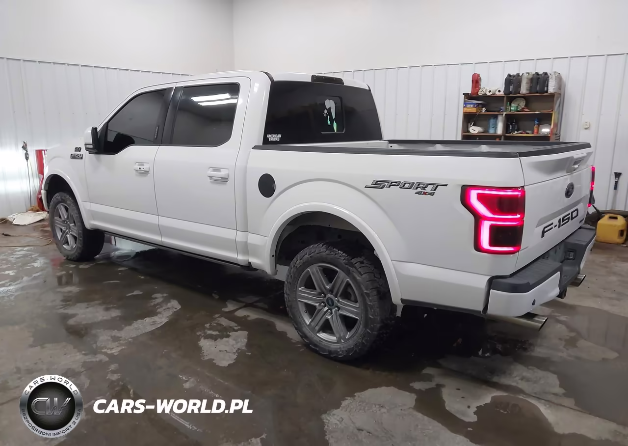2019 Ford F150 Supercrew VIN:1FTEW1E55KFC91965 - 3