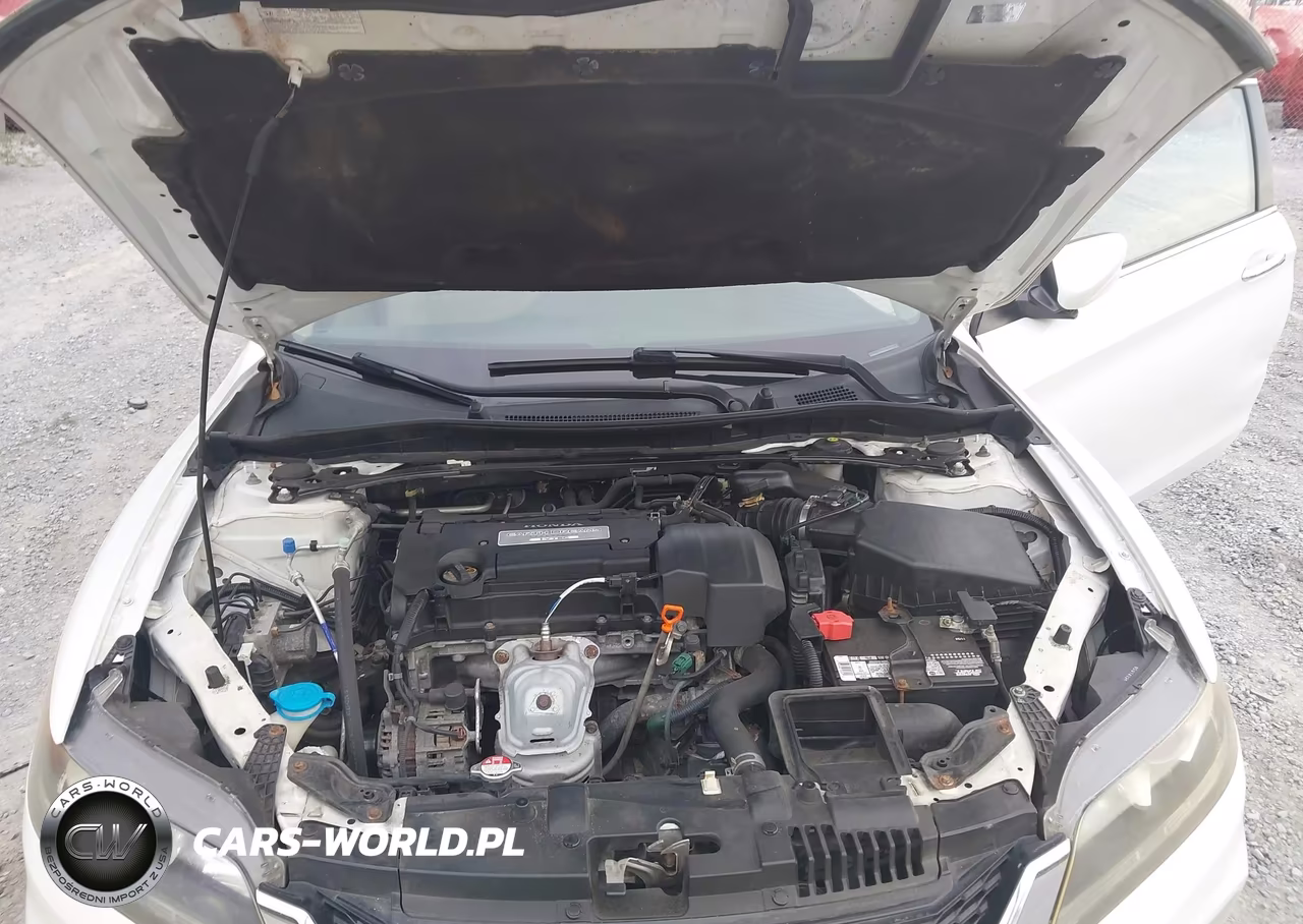 2013 Honda Accord Lx-S VIN:1HGCT1B31DA006117 - 10