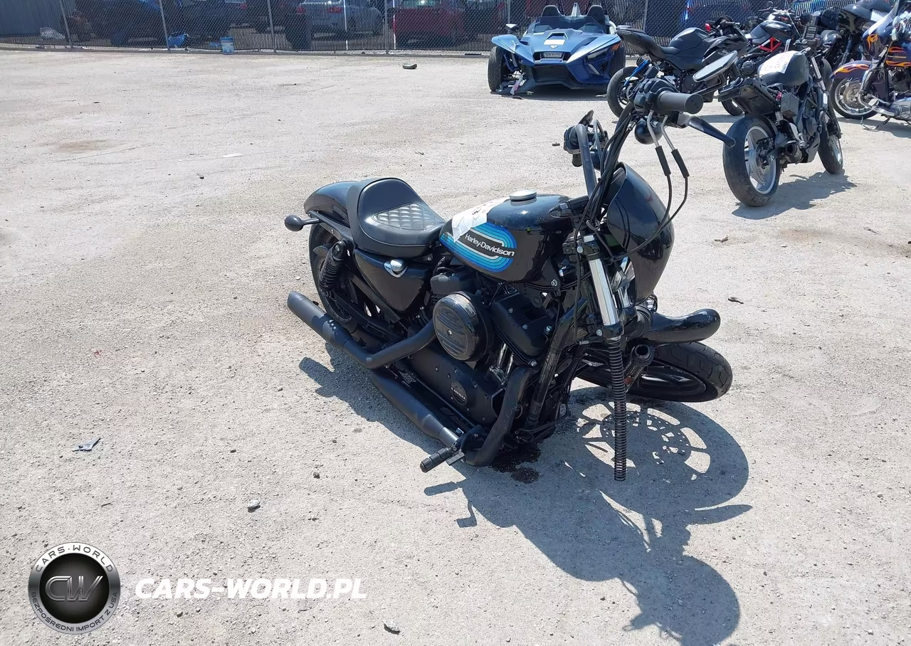 2019 Harley-Davidson Xl1200 Ns