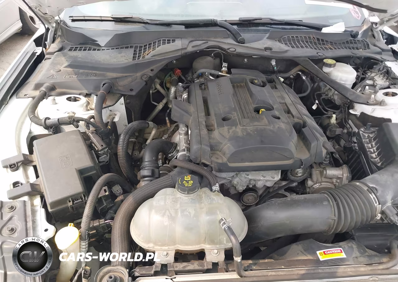 2020 Ford Mustang Ecoboost Premium VIN:1FATP8UH9L5105964 - 10