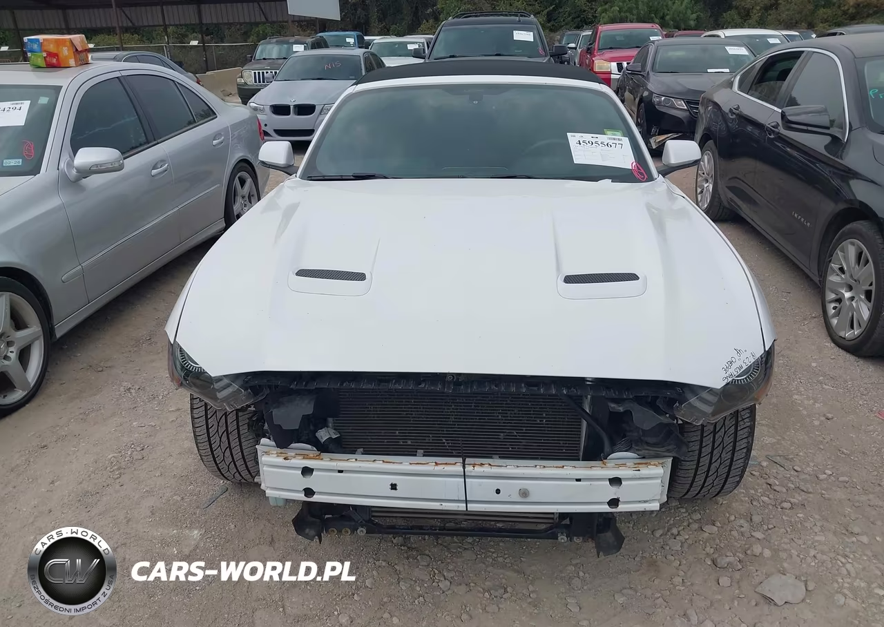 2020 Ford Mustang Ecoboost Premium VIN:1FATP8UH9L5105964 - 13