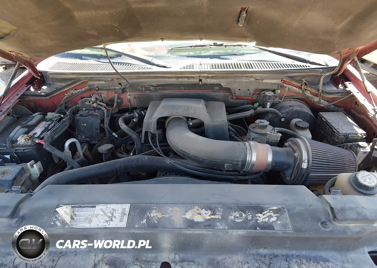 2002 Ford Expedition Eddie Bauer VIN:1FMPU18L52LA73918 - 10