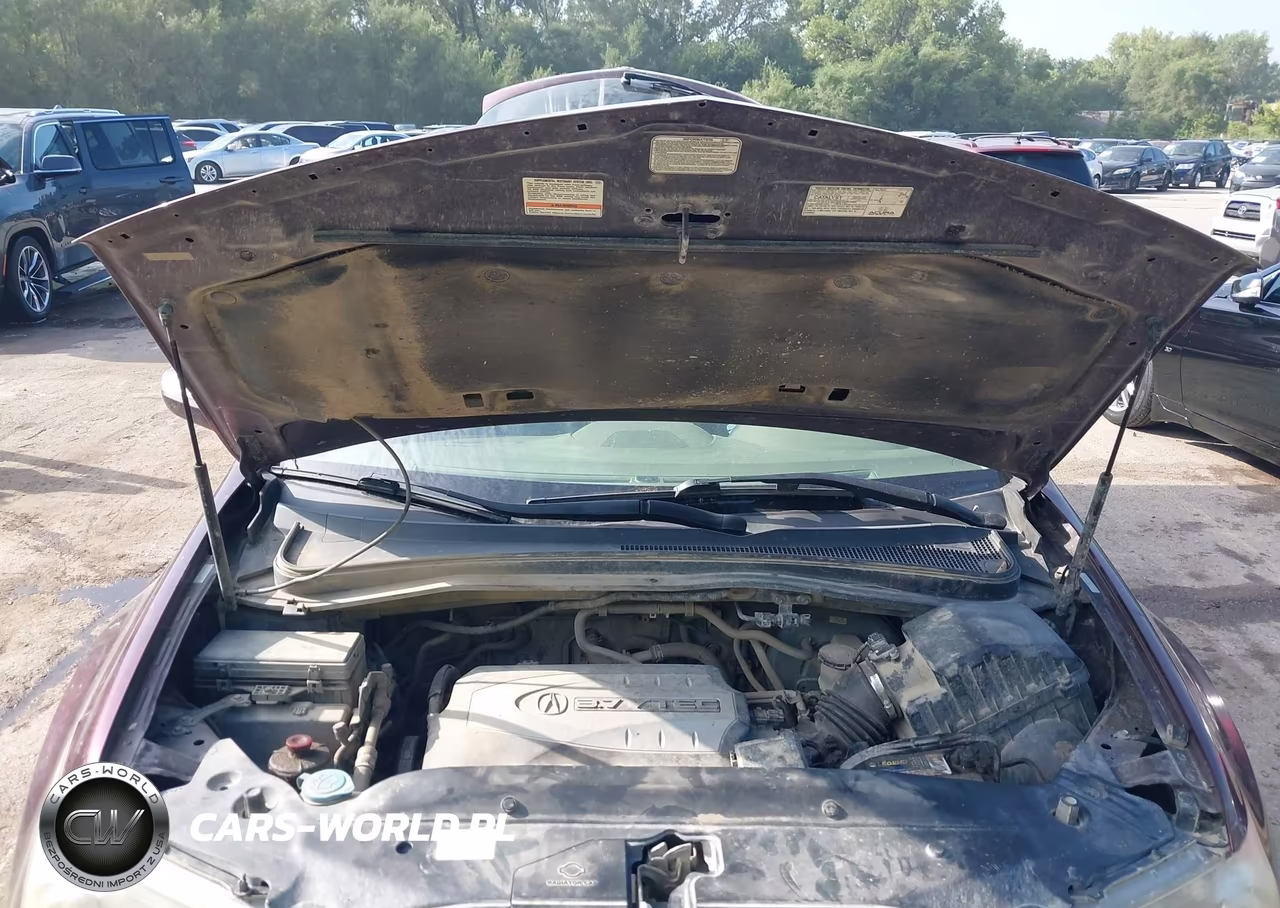 2007 Acura Mdx VIN:2HNYD28267H507641 - 10