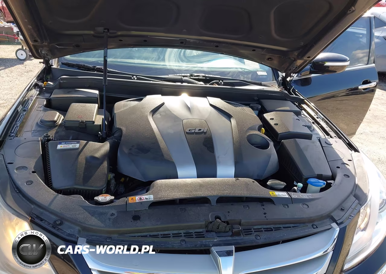 2013 Hyundai Genesis 3.8 VIN:KMHGC4DD6DU251996 - 10