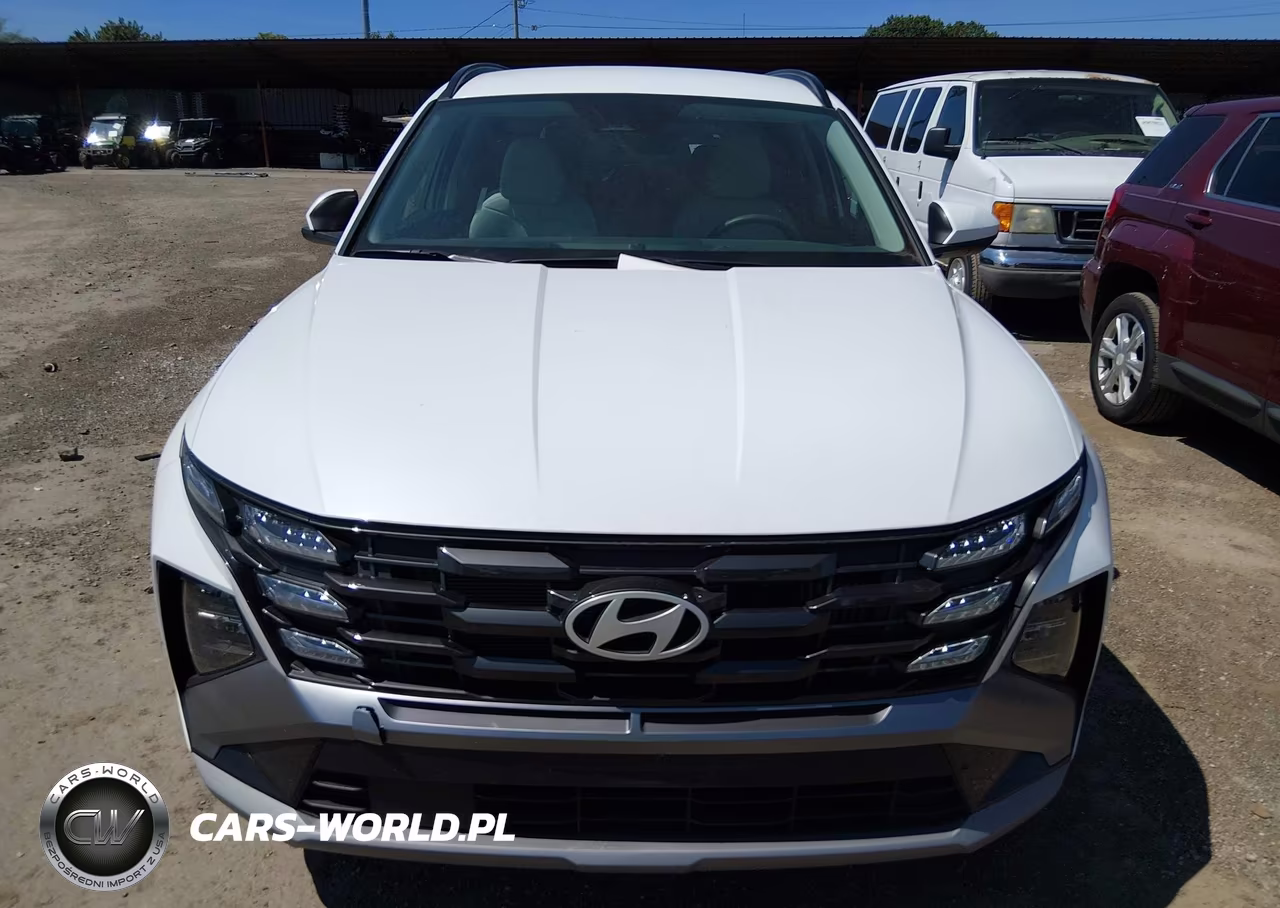 2025 Hyundai Tucson Hybrid Blue VIN:KM8JBDD15SU393333 - 12