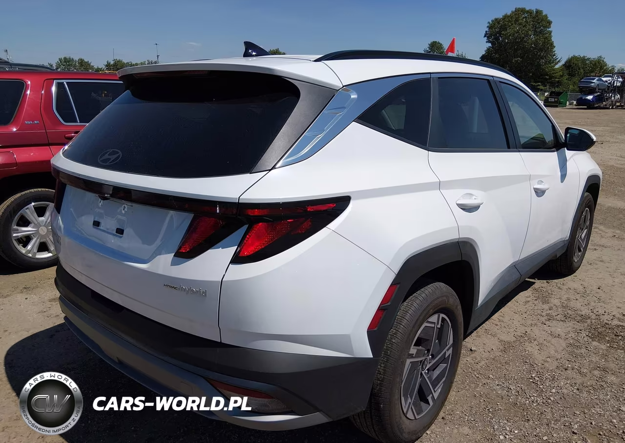 2025 Hyundai Tucson Hybrid Blue VIN:KM8JBDD15SU393333 - 4