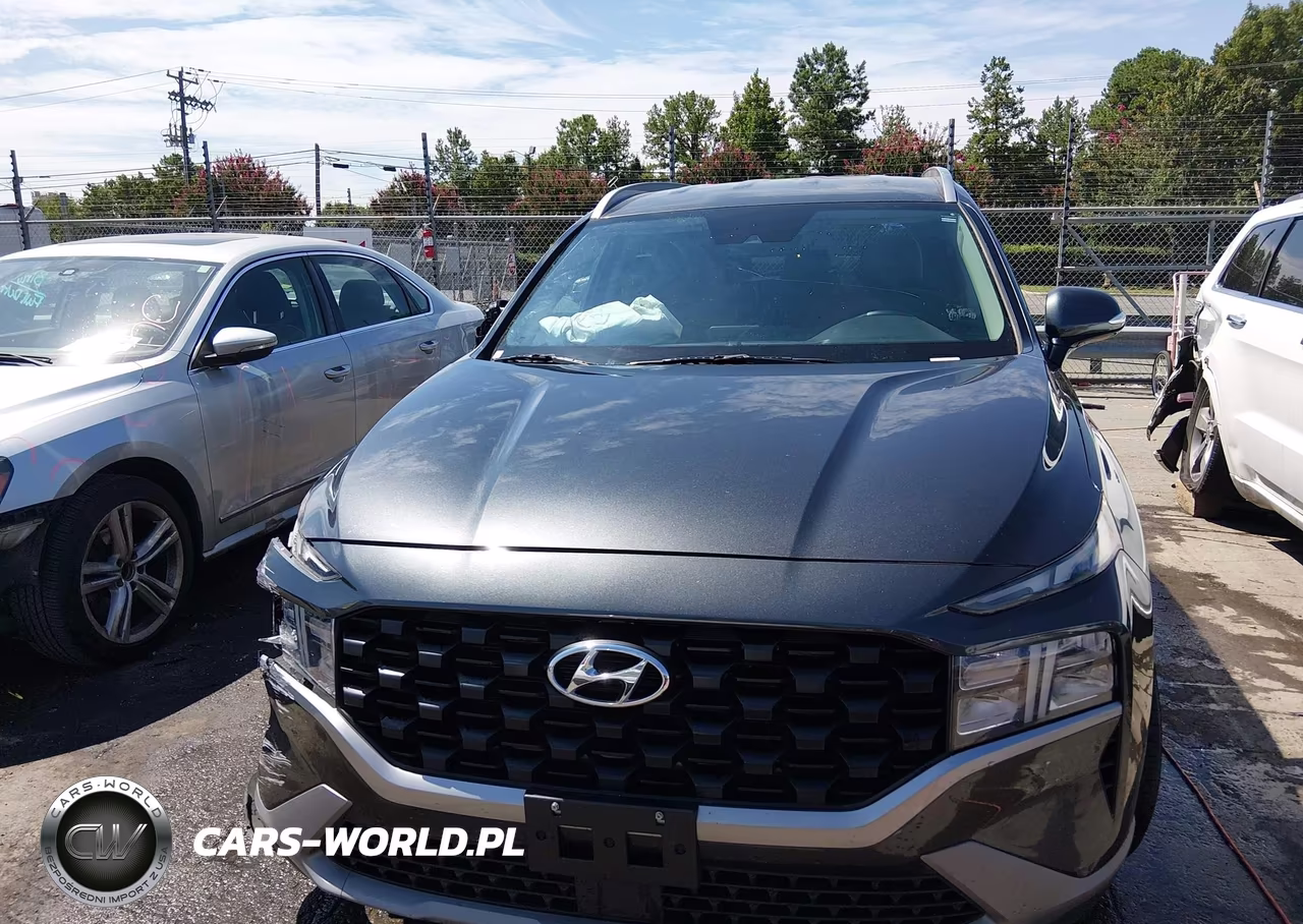 2023 Hyundai Santa Fe Sel VIN:5NMS24AJ0PH570933 - 12