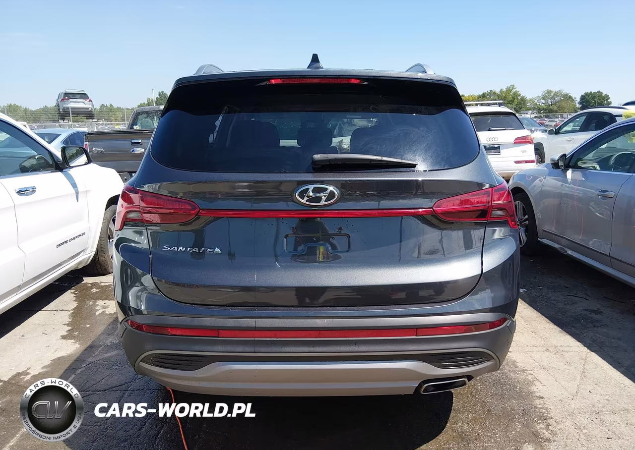 2023 Hyundai Santa Fe Sel VIN:5NMS24AJ0PH570933 - 16