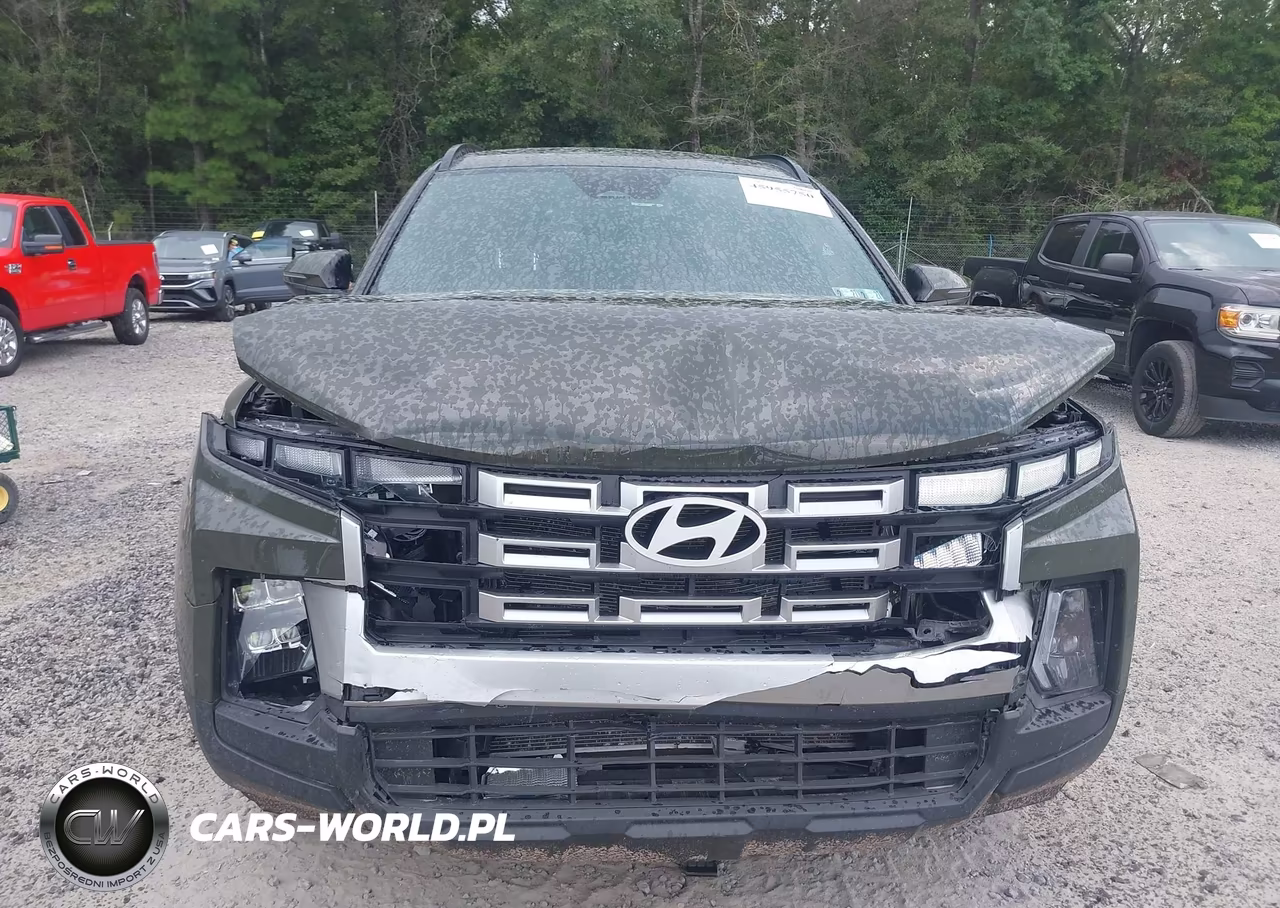2025 Hyundai Santa Cruz Sel VIN:5NTJBDDE6SH134529 - 12