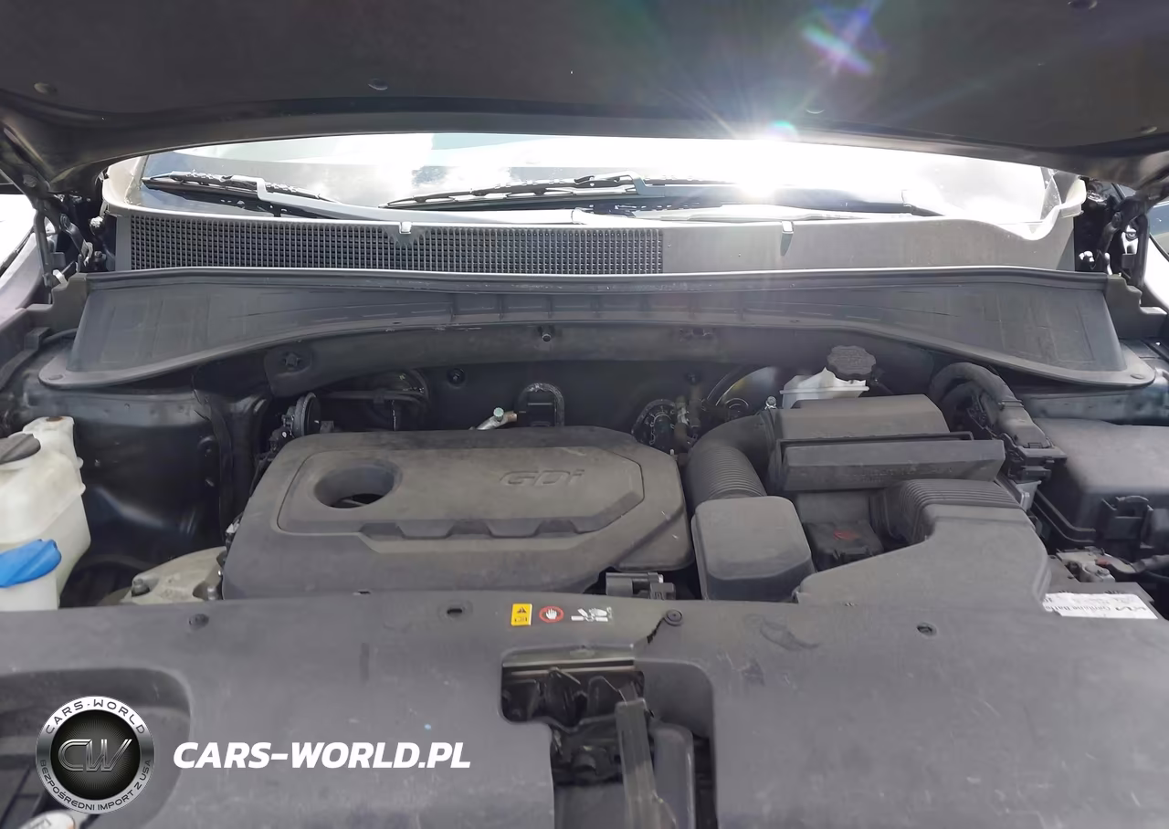 2018 Kia Sorento 2.4L Lx VIN:5XYPG4A39JG419891 - 10