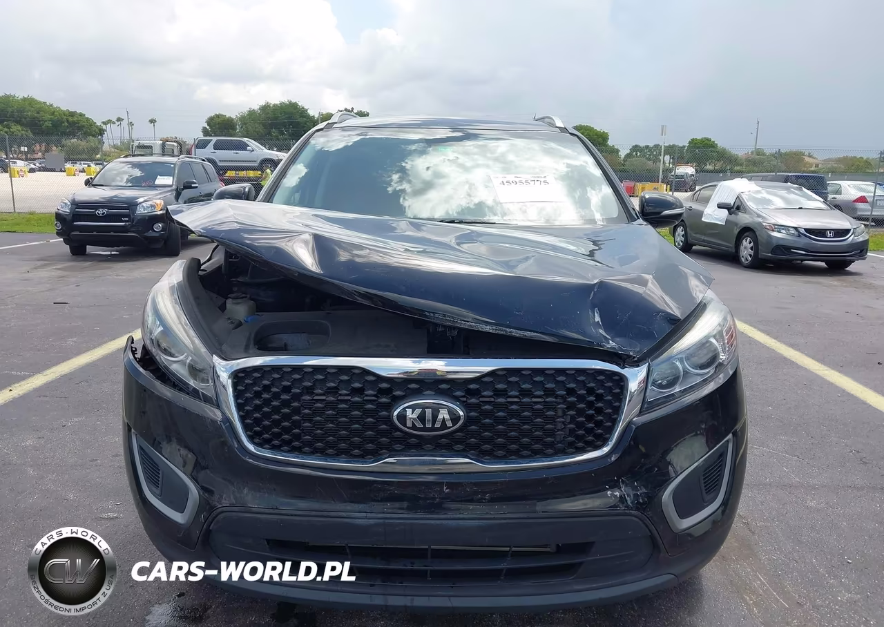 2018 Kia Sorento 2.4L Lx VIN:5XYPG4A39JG419891 - 12