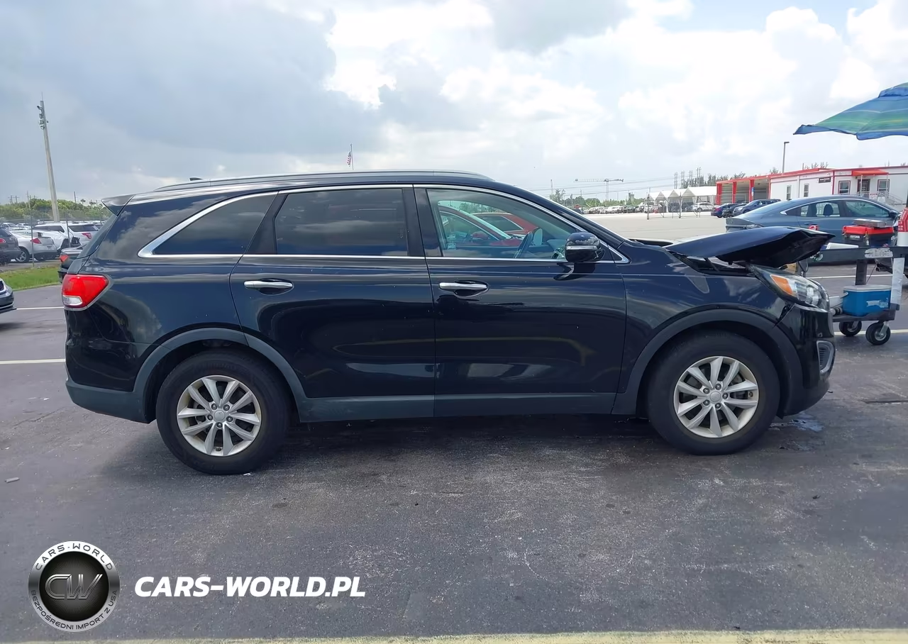 2018 Kia Sorento 2.4L Lx VIN:5XYPG4A39JG419891 - 13