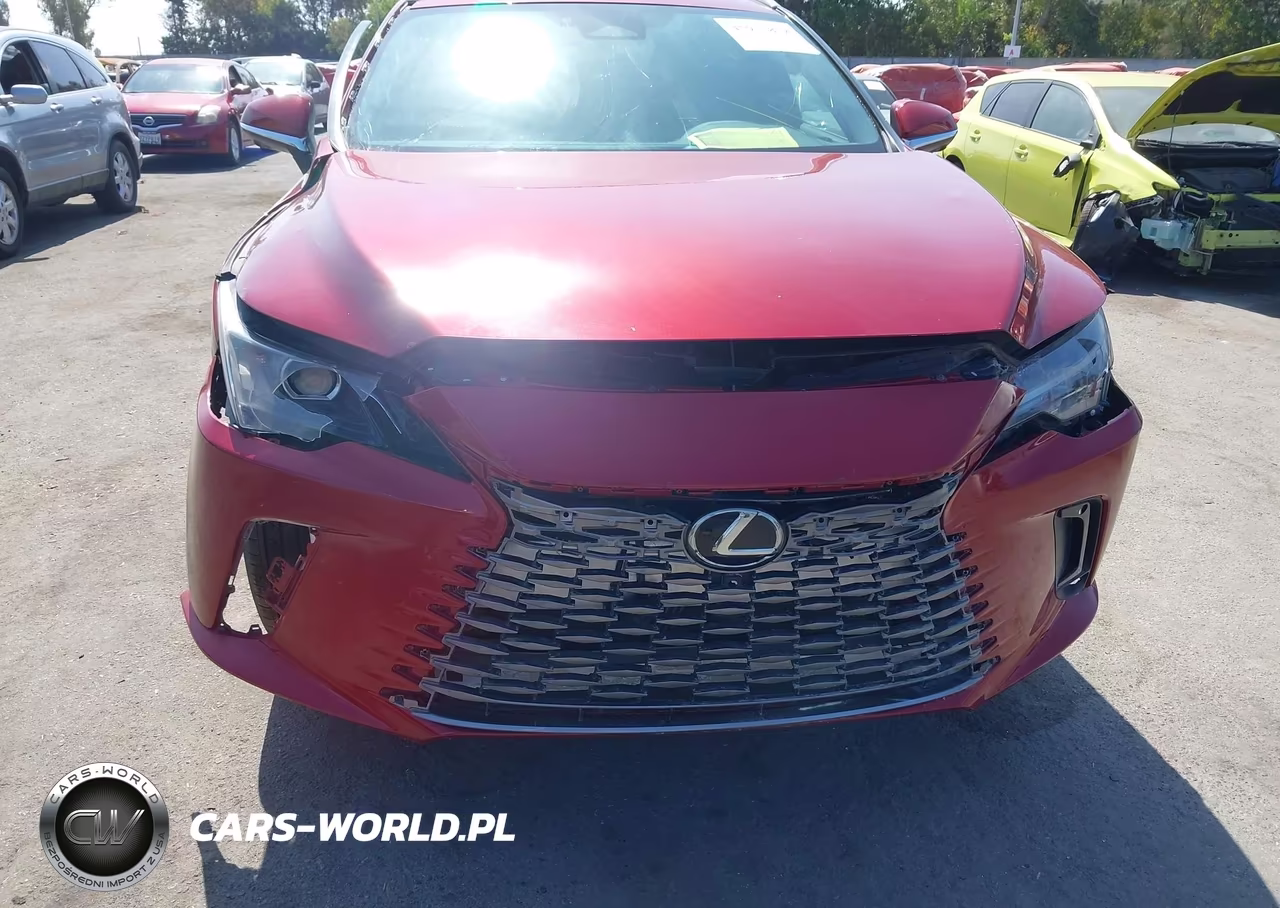 2024 Lexus Rx 350H Premium VIN:2T2BBMCA5RC042435 - 6