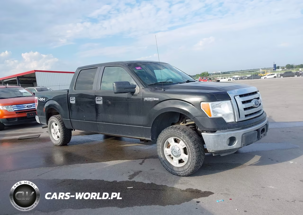 2011 Ford F-150 Xlt VIN:1FTFW1EF0BFA27730 - 13
