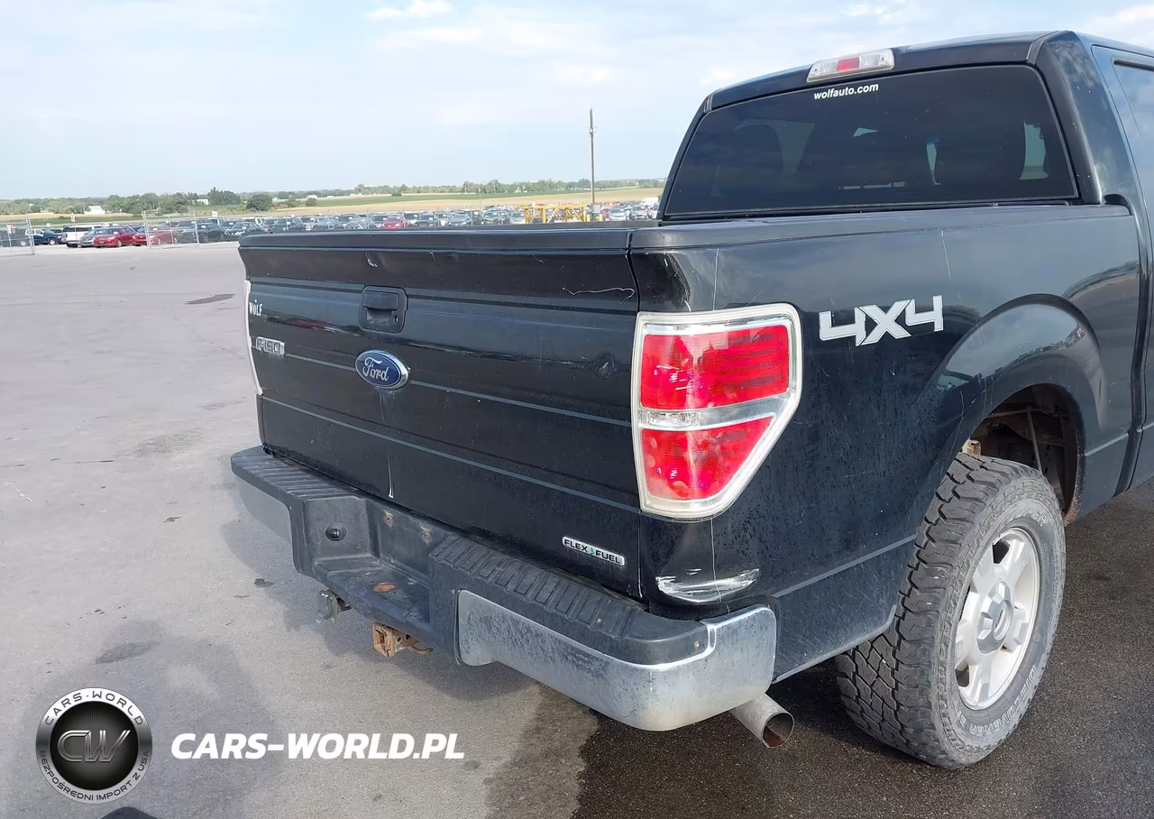 2011 Ford F-150 Xlt VIN:1FTFW1EF0BFA27730 - 18
