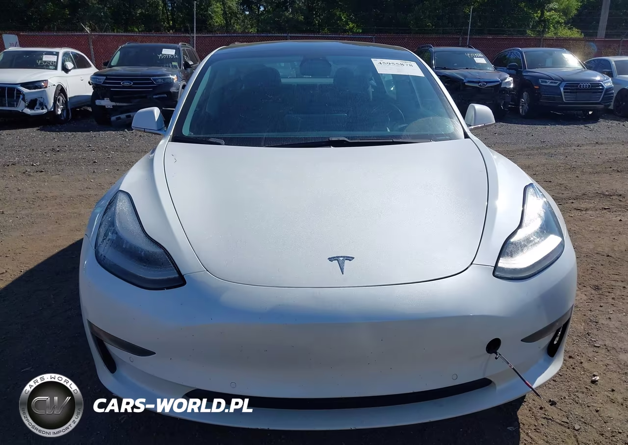 2020 Tesla Model 3 Performance Dual Motor All-Wheel Drive VIN:5YJ3E1EC1LF587080 - 12