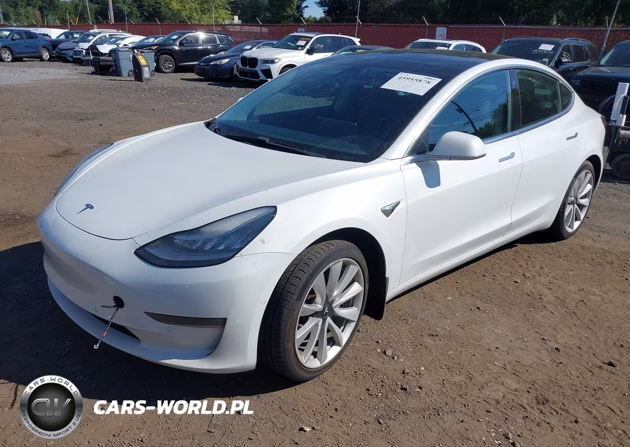 2020 Tesla Model 3 Performance Dual Motor All-Wheel Drive VIN:5YJ3E1EC1LF587080 - 2
