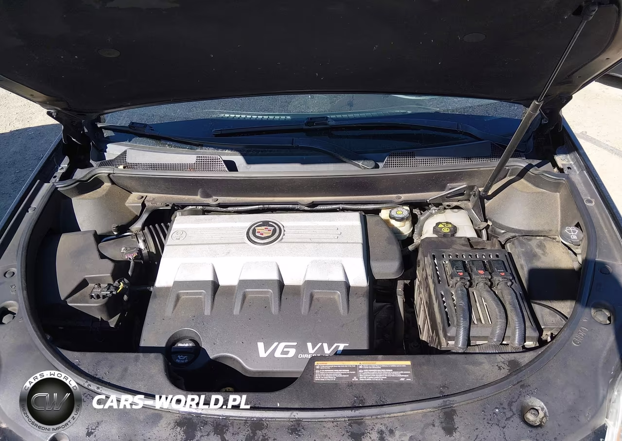 2010 Cadillac Srx Performance Collection VIN:3GYFNEEY9AS505045 - 10