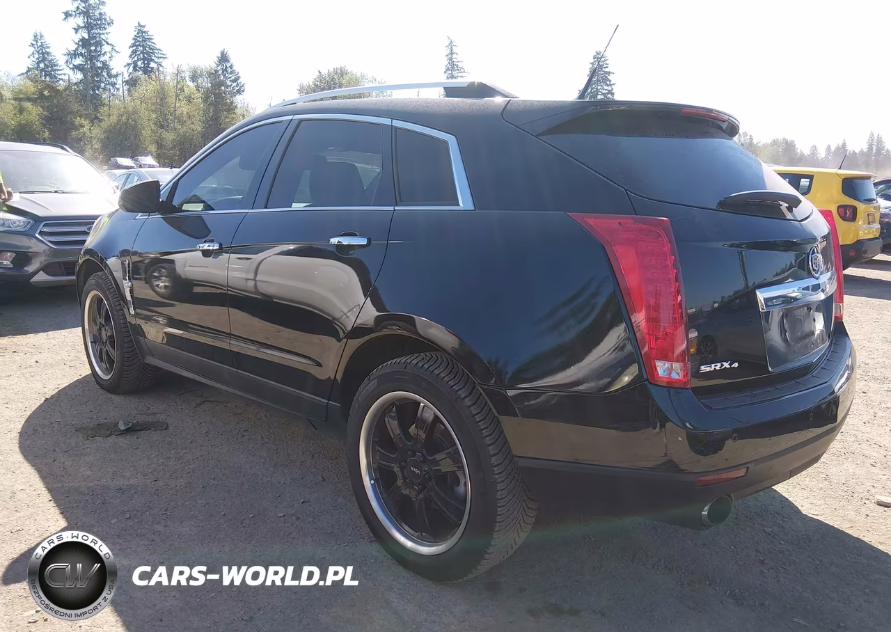 2010 Cadillac Srx Performance Collection VIN:3GYFNEEY9AS505045 - 3